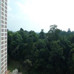 Lakeview Estate (D20), Apartment #45926532